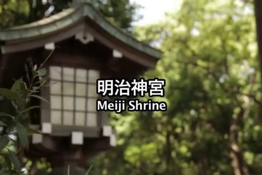Wandering Meiji Shrine