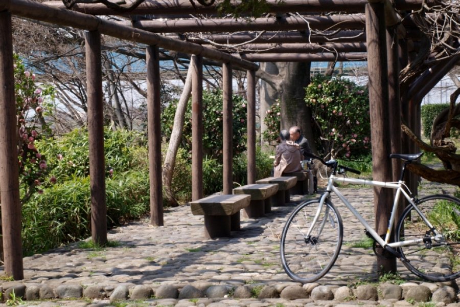 Cycling the Tamagawa