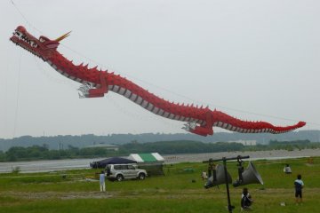Enshu Hamakita Flying Dragon Festival