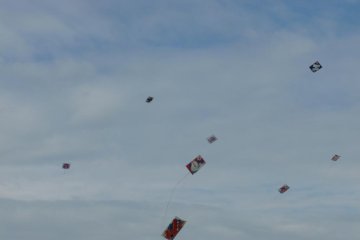 Hamamatsu Kite Flying Festival