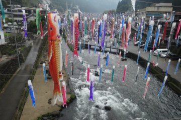 Carp Streamers at Tsuetate Onsen
