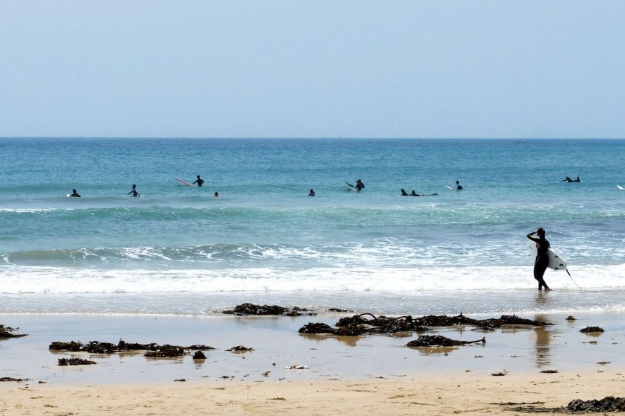 Exciting Views of Surfers and Ocean
