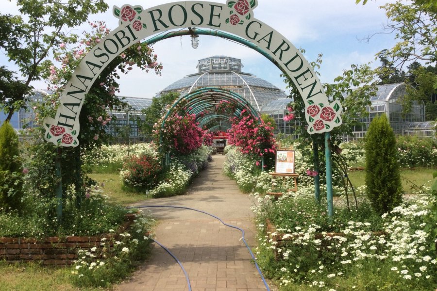 Hanaasobi Rose Garden