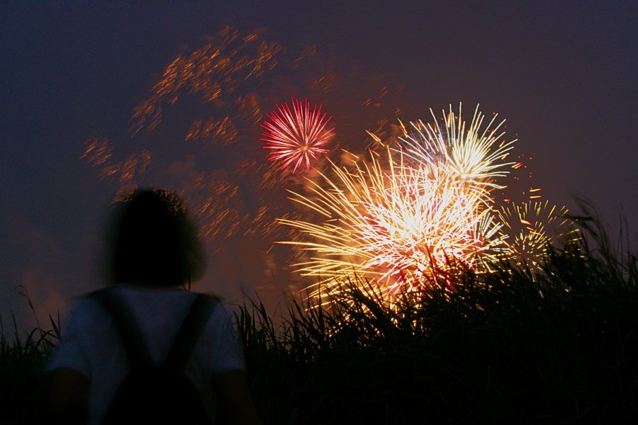 Itabashi & Saitama Summer Fireworks