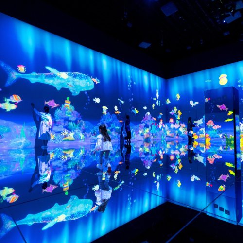 teamLab, Sketch Ocean, 2020-, Interactive Digital Installation, Sound: Hideaki Takahashi © teamLab, courtesy Pace Gallery