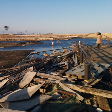 2011 Tohoku Disaster