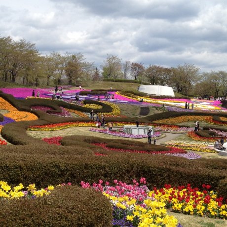 Michinoku Park Michinoku Park