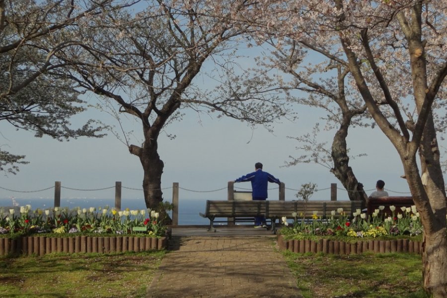 Memorial of the Blue-eyed Samurai