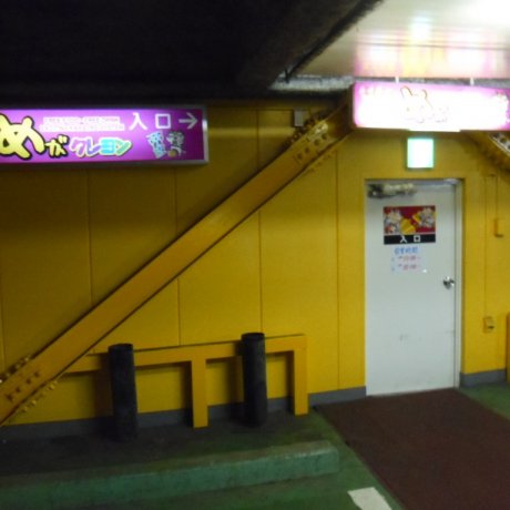 Mega Crayon: Karaoke and Buffet Mega Crayon: Karaoke and Buffet