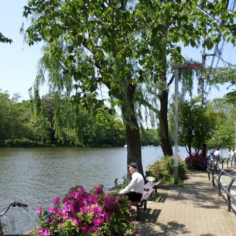 Shakujii Park Shakujii Park