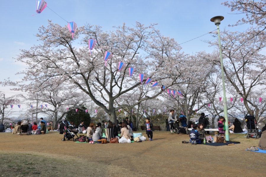 Beautiful Kinugasayama Koen