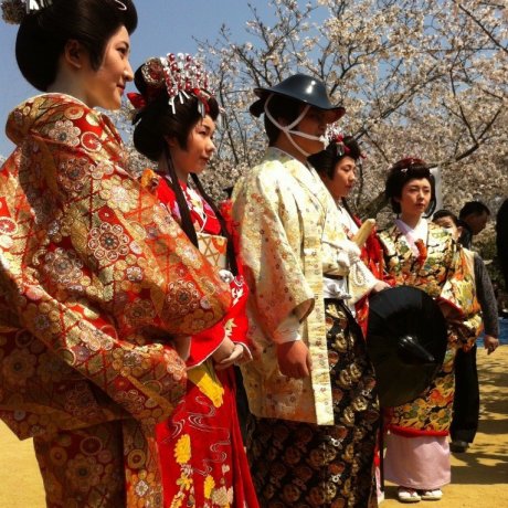 Matsuyama Spring Festival Matsuyama Spring Festival