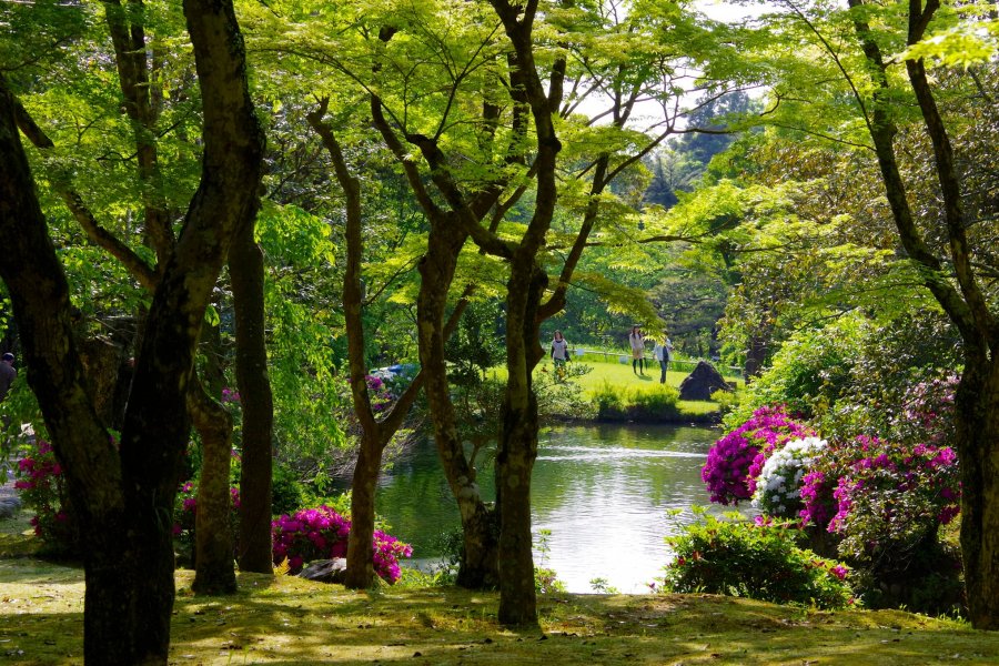 Manyo Botanical Garden