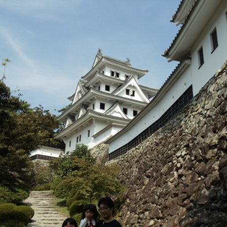Gujo Hachiman Castle Gujo Hachiman Castle