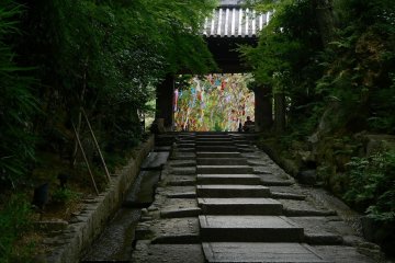 Tanabata and Light-up at Kodai-ji