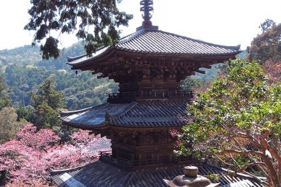 Ichijo-Ji Temple