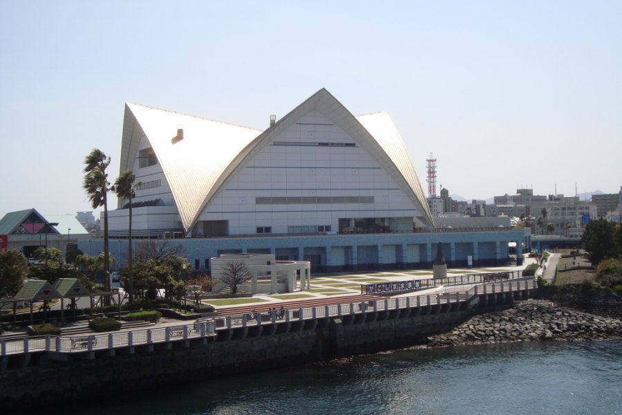 A Trip to Kagoshima City Aquarium