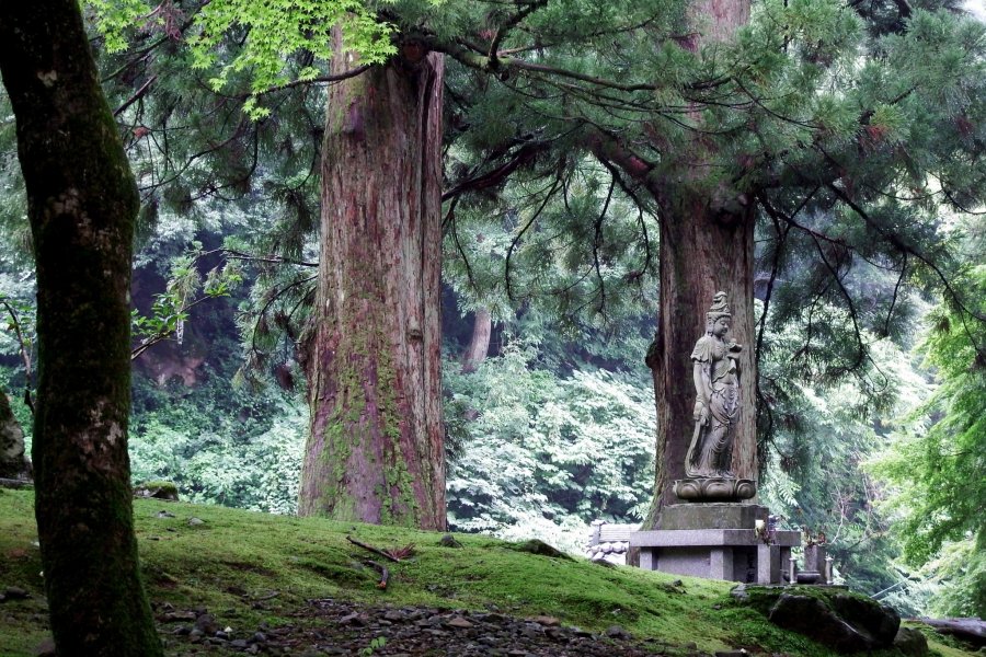 Eiheiji - Temple of Eternal Peace