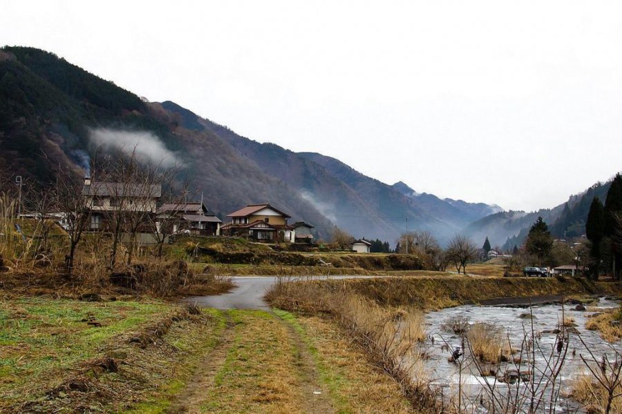 Daikon Hunting in Meiho, Gifu