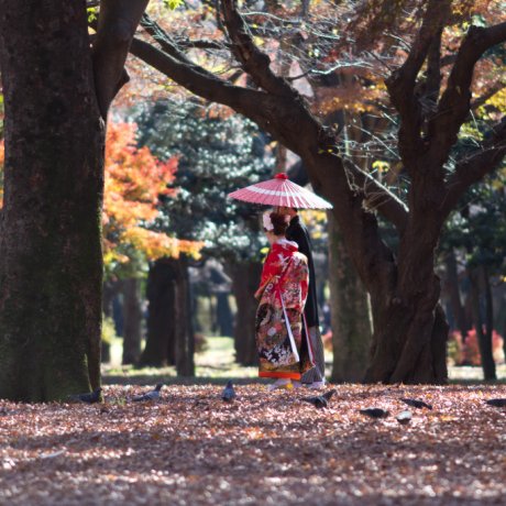 Entertainment at Yoyogi Park Entertainment at Yoyogi Park