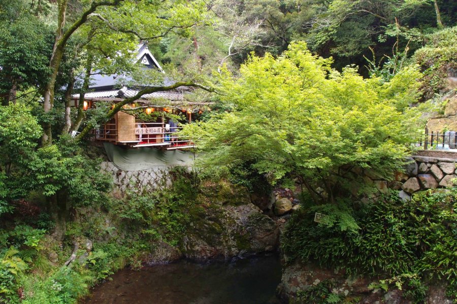 Summer at Minoh Park