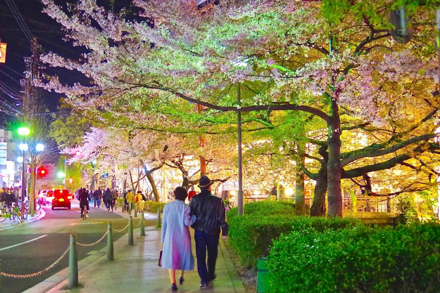 Kyoto Takase-gawa Riverside Walk