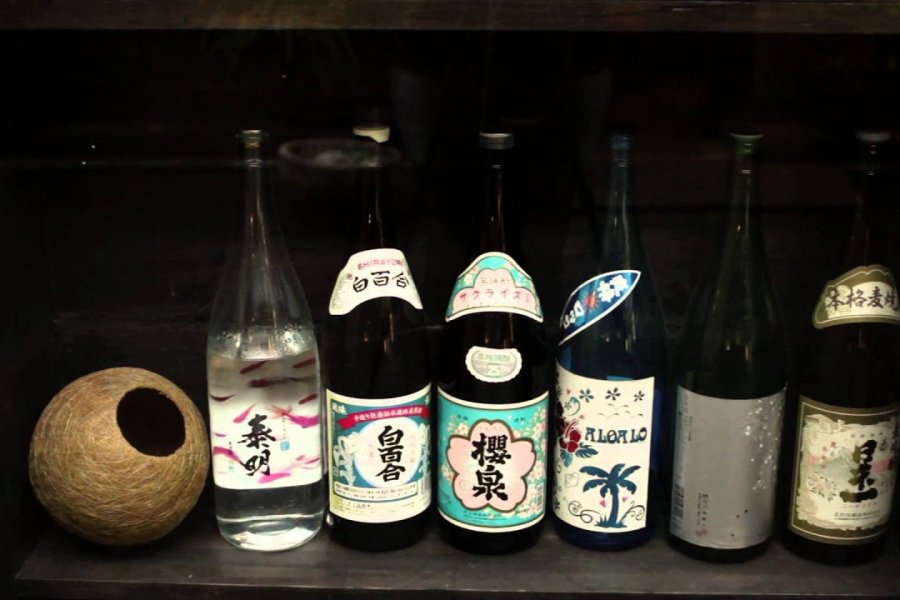 A Day in the Life of Gion 