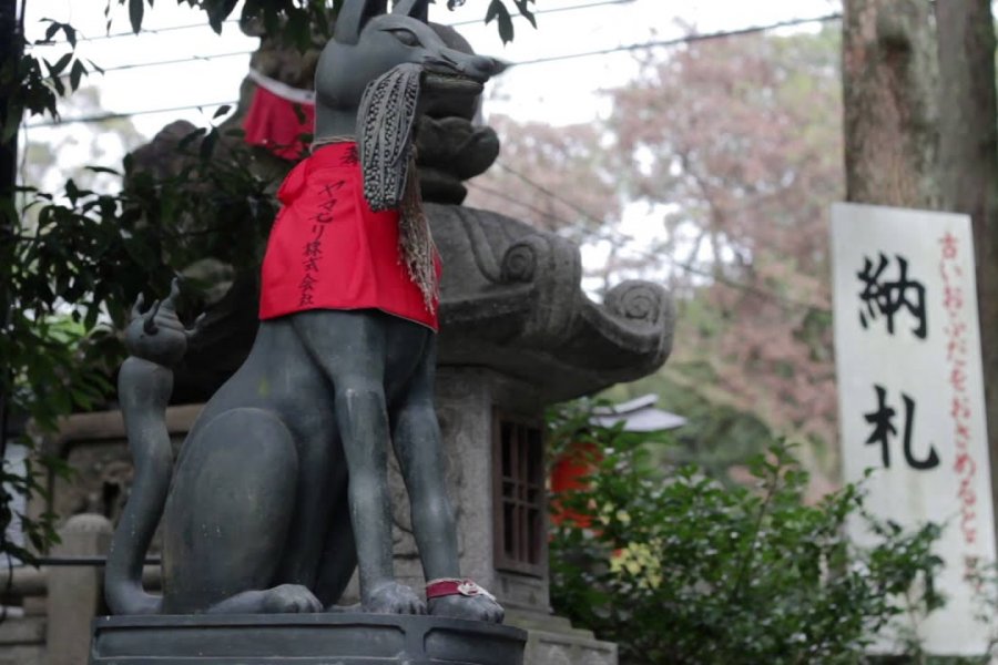 Fushimi Inari - Taisha