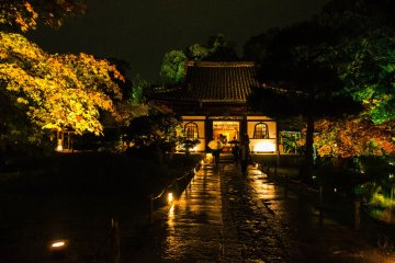 Kodai-ji Autumn Illumination