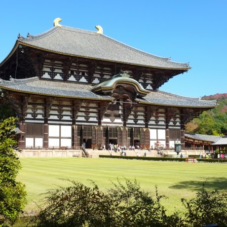 The Great Todaiji Temple The Great Todaiji Temple