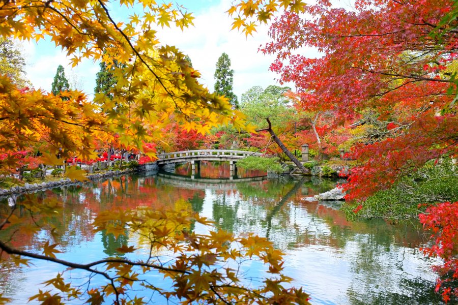 Autumn at Eikando Temple