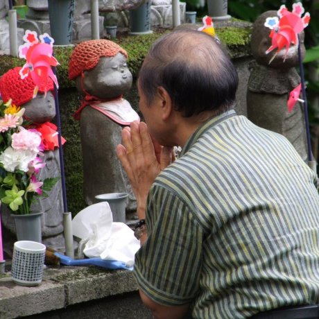The Jizo Statues of Zojo-ji Temple The Jizo Statues of Zojo-ji Temple