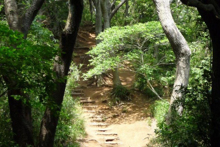 Daibutsu Hiking Trail, Kamakura