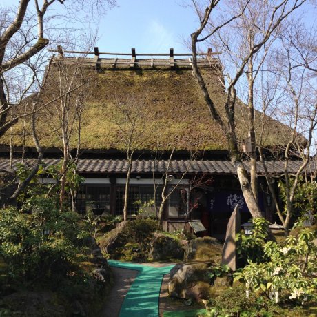 Spend a Night in Yufu City Spend a Night in Yufu City