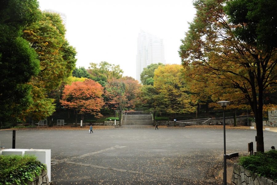 Early Autumn at Shinjuku Chuo Park