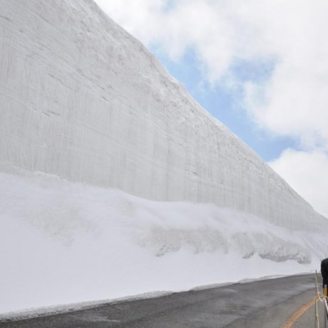 Tateyama's Snow Wall Walk Tateyama's Snow Wall Walk