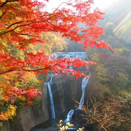 Autumn Colors at Fukuroda Falls Autumn Colors at Fukuroda Falls