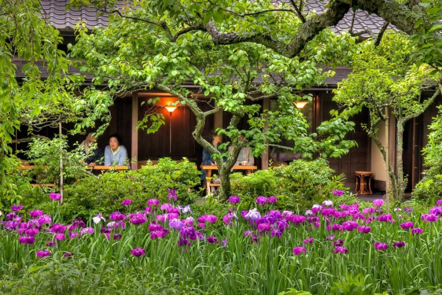 Kita-Kamakura's Tokeiji Temple
