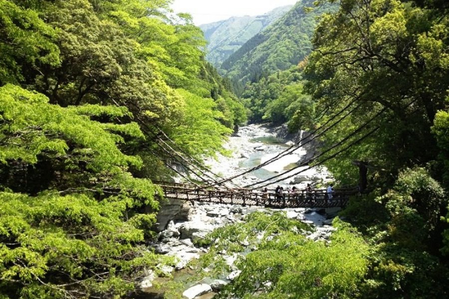 Tokushima's Iya Valley