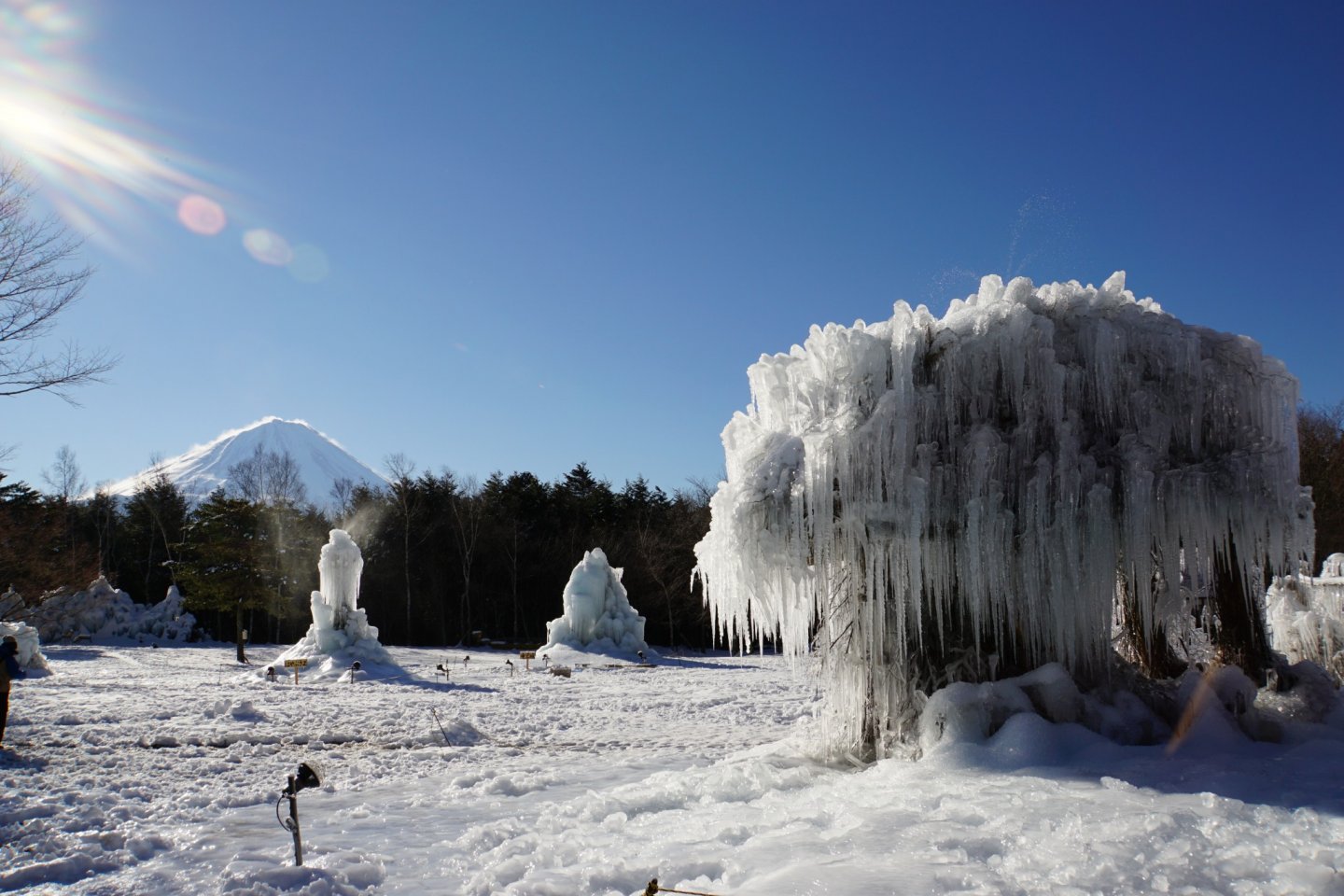 Lake Saiko Ice Tree Festival