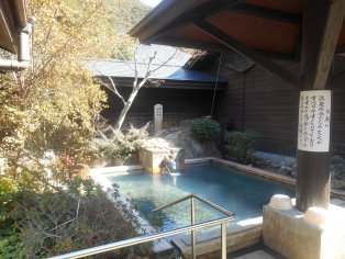 The Baths of the Nara Subaru Hotel 