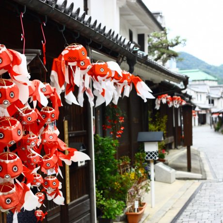 Goldfish Lanterns in Yanai Goldfish Lanterns in Yanai