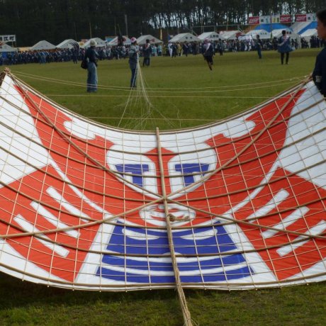 Hamamatsu Kite Flying Festival Hamamatsu Kite Flying Festival