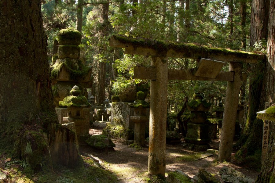Japan's Most Beautiful Graveyard