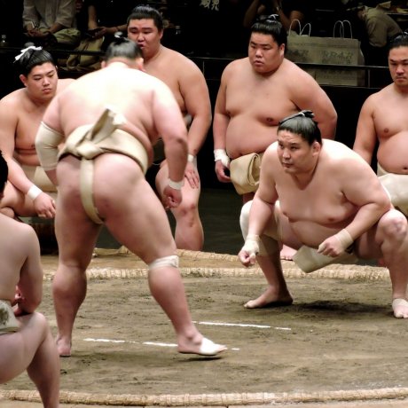 Sumo Wrestling at Ryoguku Kokugikan Sumo Wrestling at Ryoguku Kokugikan
