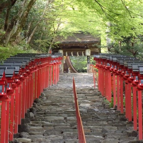 Kyoto's Historic Kifune Jinja Kyoto's Historic Kifune Jinja