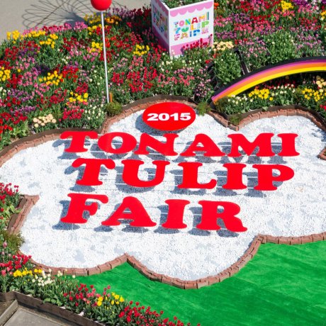 Tonami Tulip Fair Tonami Tulip Fair