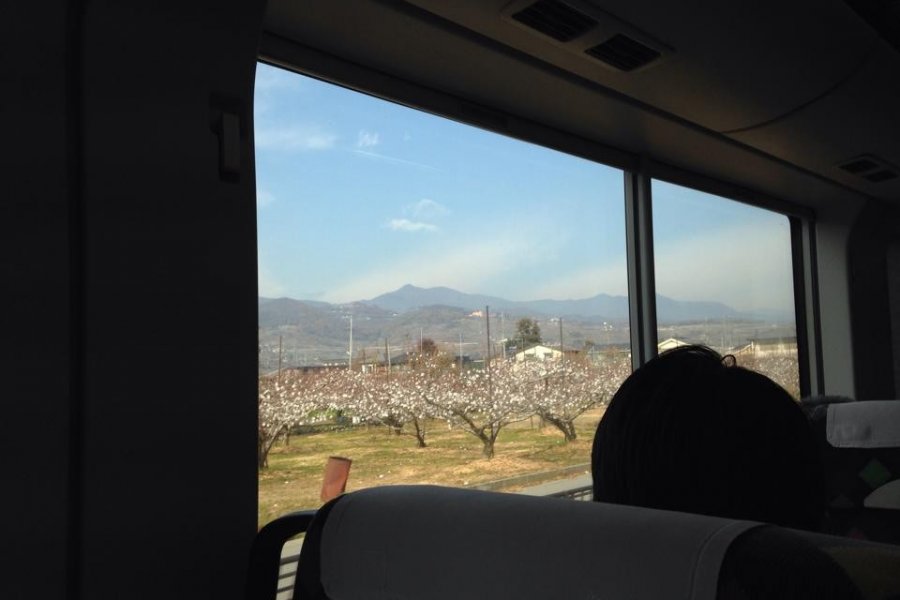 Discover Kanto by Train