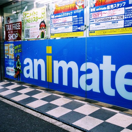 Animate Animate
