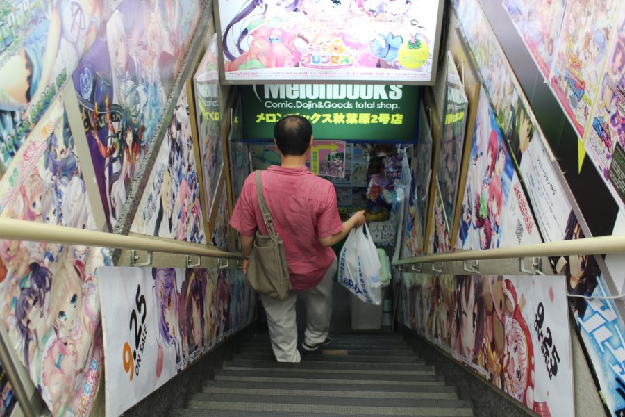 Akihabara, an Anime Fairyland 